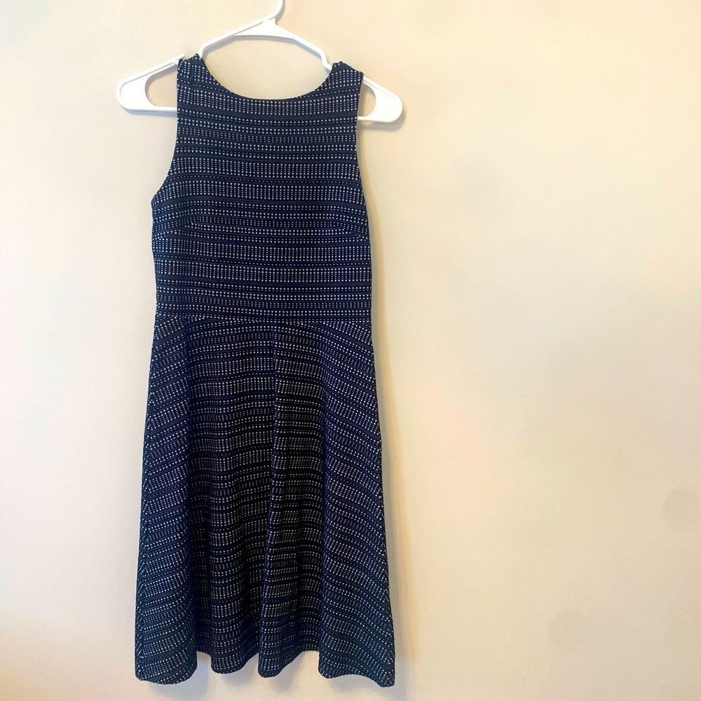 Banana Republic Black and White Dress